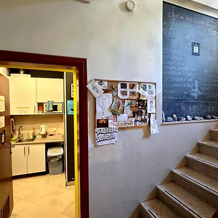 Hostel Vagabond *